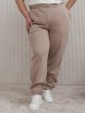Спортивные штаны артикул: Б570-15 от Jetty Plus - вид 2