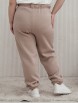 Спортивные штаны артикул: Б570-15 от Jetty Plus - вид 3