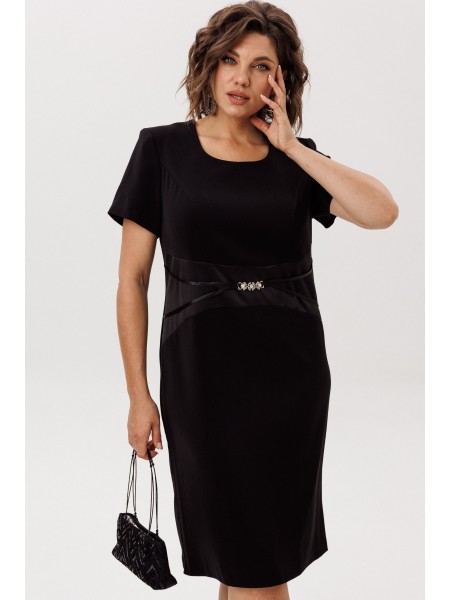 1761 xерный лебедь