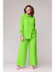 Брючный костюм артикул: 169-6 от Eva Grant - вид 1